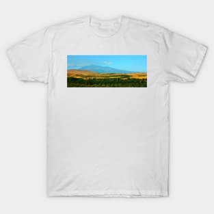 Sicilian Palette. Etna. 2011 T-Shirt